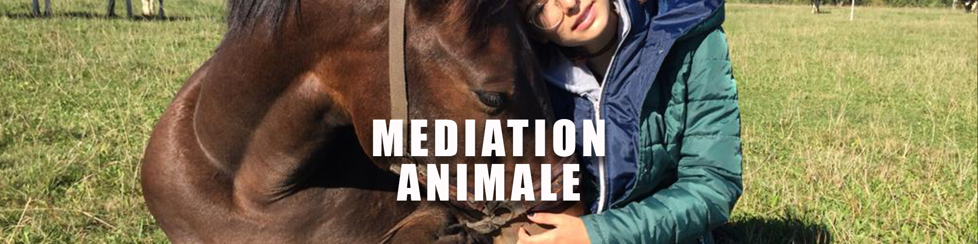 C mediation animale huskiesport neuchatel